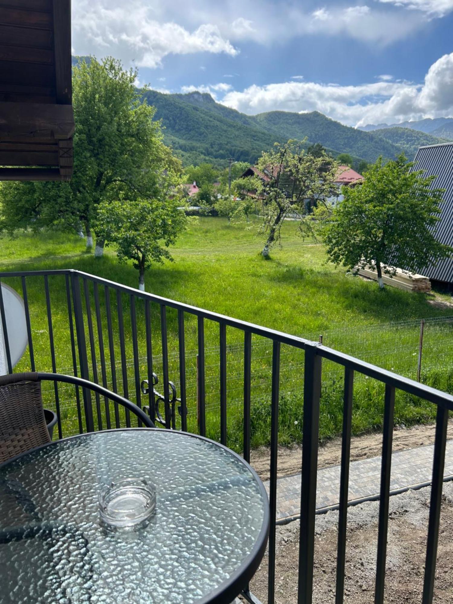 Вілла Casa Luca Ama Bran Бран Екстер'єр фото